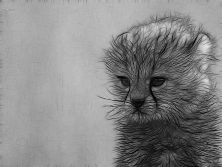 ways of drawing cats - abstract, 3d and cg