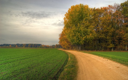 on the wide road - nature, fields