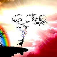 science of how birds fly