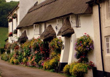 Flowery Cottage - flowers, trees, thatched roof, horseshoes, english cottage, road