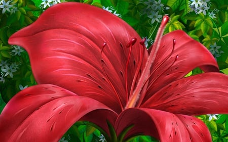 hibiscus - nature, red, exotic, hibiscus, tender, flower, beautifully