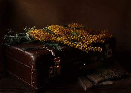 STILL LIFE - leather suitcase, brown, yellow, old, gloves, mimosa