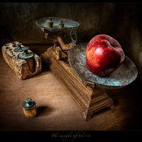 STILL LIFE