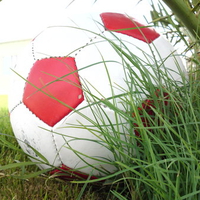 playing soccer in our farm