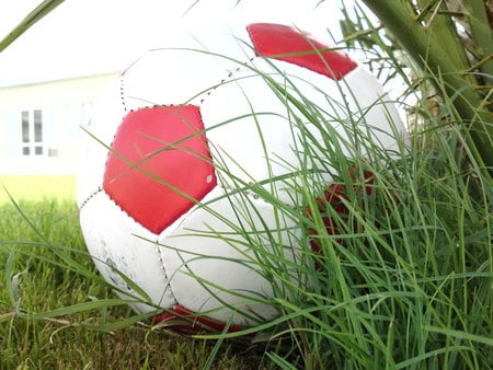 playing soccer in our farm - balls, soccer