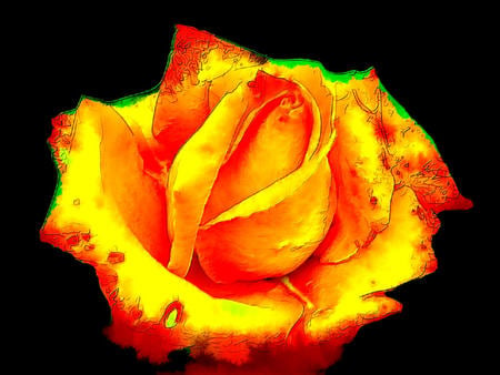 Hot Rose. jpg - glow, yellow, red, neon, rose