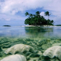 SMALL ISLAND