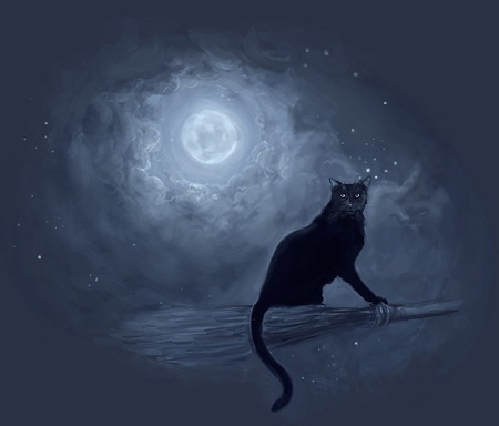 Hitchhiker - witch, moon, abstract, broom, hot, 3d, art, cat