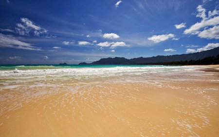 summer sands beach - nature, beach