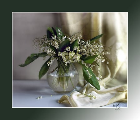 Class - satin, petals, water, flowers, framed, vase, curtain