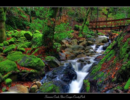 BEAUTIFUL,BABBLING,BROOK, - gorgeous, babbling, waterfall, brook, small