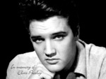 Elvis