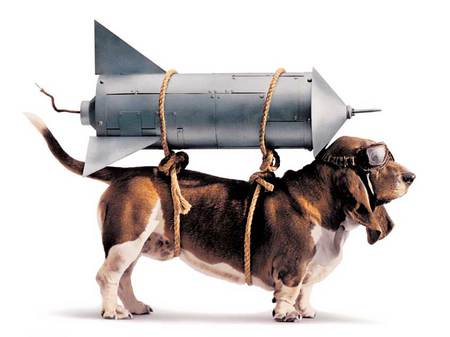 Fly Dog - dog, rocket with dog