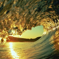 Golden Surf