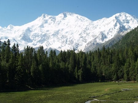 diamir mountain - nature, mountains