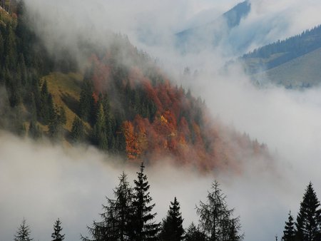 foggy mountains - mountains, nature