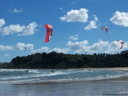 Summer day - trees, shore, people, beach, surfing, flying, waves, sky