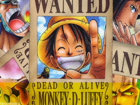 wanted - wanted, one piece, anime, force, pirate, power, skull