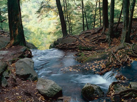 Buttermilk Falls - trees, water, nature, waterfall, nice