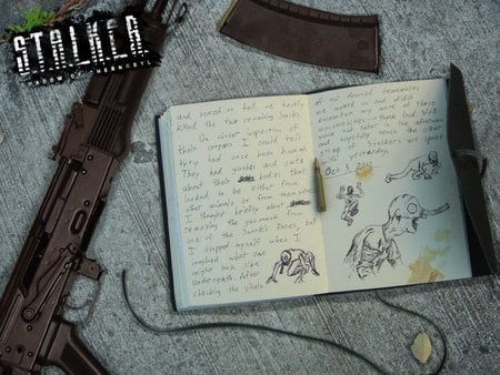 stalker game diary