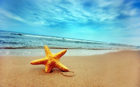 summer at lonely beach