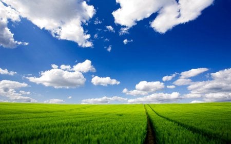 summer changing countryside - nature, fields