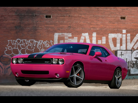 Dodge SRT8 Furious Fuchsia - str8, 2010, fuchsia