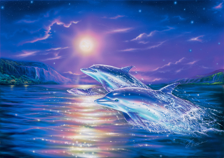  BIG DOLPHINS - dolphins, moonlight, two, playing