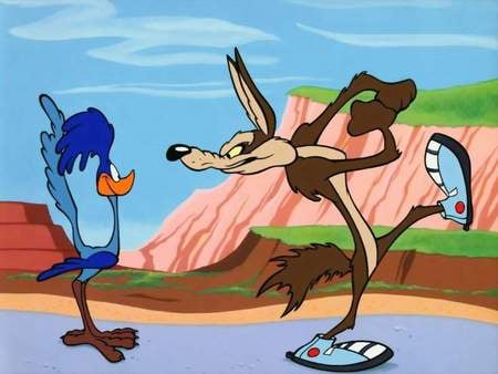 the roadrunner - looneytunes, roadrunner, bugbunny, cartnoon