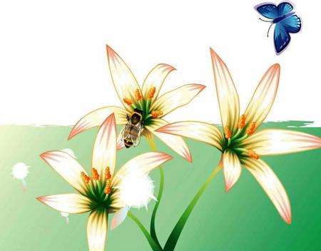 Flower - flower, bee, butterfly, abstract