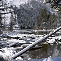 Winter, Grand Teton National Park