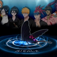 Ichigo, Rukia, Renji, Ishida, Sado, Inoue, and Yoruichi