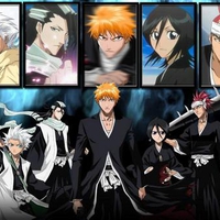 Hitsugaya, Byakuya, Ichigo, Rukia, and Renji