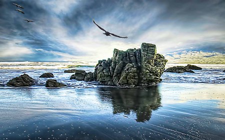 Searching - beauty, beach, blue, rock, wave, birds