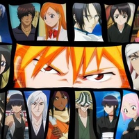 Bleach