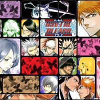 Bleach