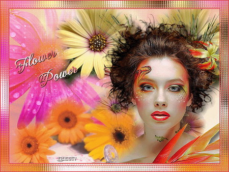 flower power - colorful, gerber, beauty, lily