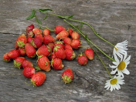 rural - wood, daisy, strawberries, red