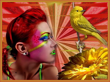 colorful - bird, gerber, face, yellow