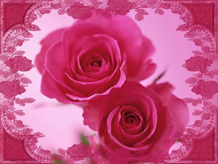 Double Rose. jpg - roses, pink, pretty, lacy