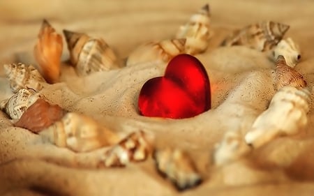 Heart... - nice, love, red heart, heart, shells, lovely, abstract, hearts, beautiful, red, sand