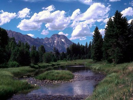 mountains by lake with trees - nature, sky, lake, mountain, tree