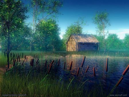 Shack Near A Pond - shack, country