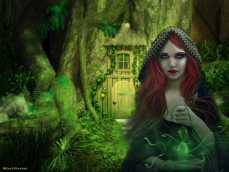 Do not trust Women with red hair - woman, witch, red, green, fantasy