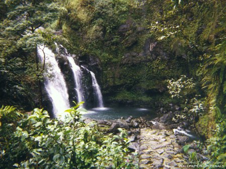 waterfalls in hawaii - nature, hills, trees, mountain, flowers, grass, waterfall, rocks