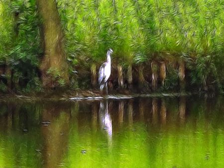 HanginAround - hanginaround, fractal, green, pelican