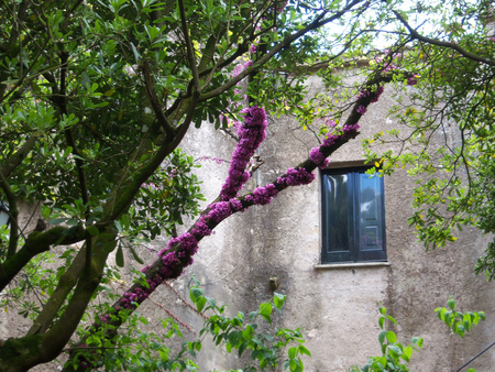 spring window - spring, window