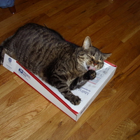 Fooze on a Box.