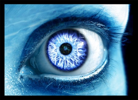 blue eye - face, eye, people