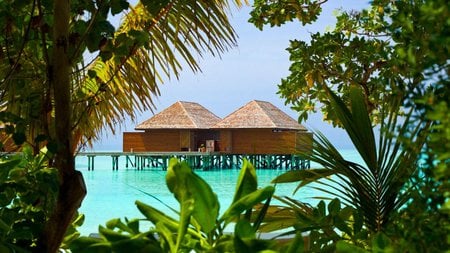 water bungalows - picture, beach, houses, cool, architecture, huts